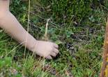 IMG_1949 (1280x853).jpg (135243 bytes)